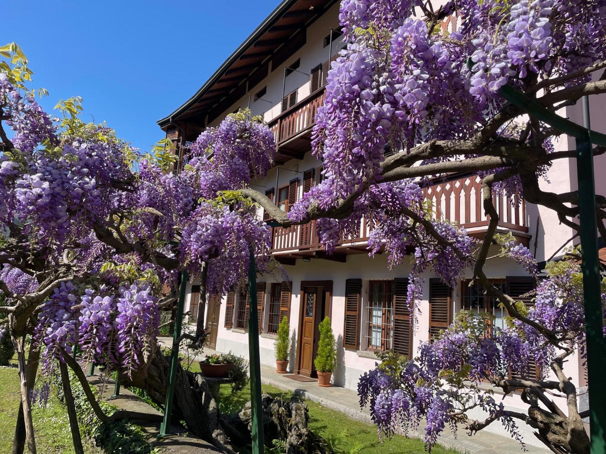 Dimora Fiorita Junior My Holiday Home Варалло Экстерьер фото